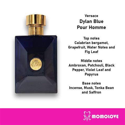 what are the notes in versace dylan blue|Versace Dylan Blue men notes.